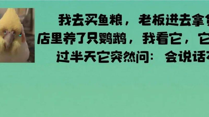 成都火锅底料批发市场：揭秘选购之道